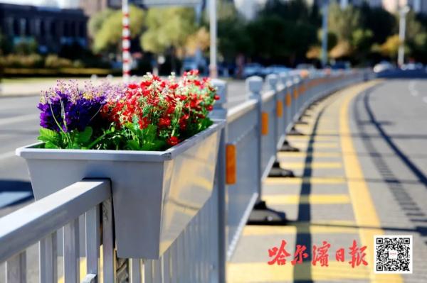 景观交通羞羞漫画在线成人漫画亮相哈市街头！除了美观，它还有这个作用
